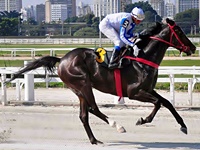 Prova Especial em destaque no simulcasting com Cidade Jardim
