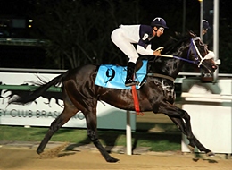 Carrocel Encantado, um galope de saúde no GP Salgado Filho (G2)
