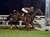 Tinindo, Champion Star conquista batismo nobre no GP Enio Buffolo (G3)