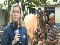 Especial Tv Turfe – Desejada Win – A vitória do amor ao PSI