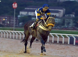 Diesmal, exibição de classe no 107º GP Bento Gonçalves (G1)