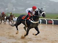 Estranho Star leva a melhor no Prêmio Jockey Club Brasileiro