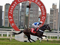 Jopollo larga e acaba no GP Jockey Club de São Paulo (G1)