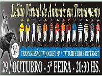 Use seu crédito no Jockey Club de São Paulo para comprar no Leilão desta quinta-feira, 29 de outubro