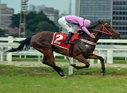 Xic New vence com sobras o GP Henrique de Toledo Lara (G1)
