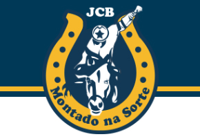 Acompanhe aqui todas as notícias do Blog Montado na Sorte