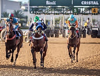 Doze páreos agitam o Hipódromo do Cristal a partir das 15 horas