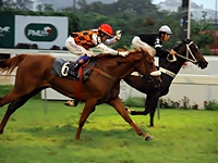 Em progressos, Senhora Olimpia larga e acaba no GP Mariano Procópio (G3)