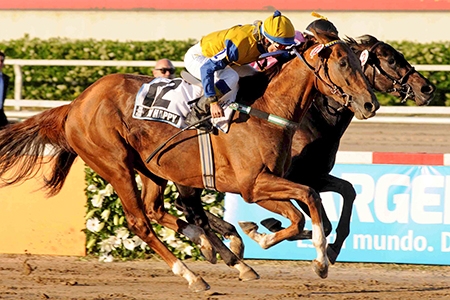 Hi Happy, com A. Domingos, foi o campeão do Gran Premio Nacional (G1), o Derby argentino