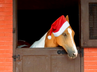 O Jockey deseja a todos um Feliz Natal!