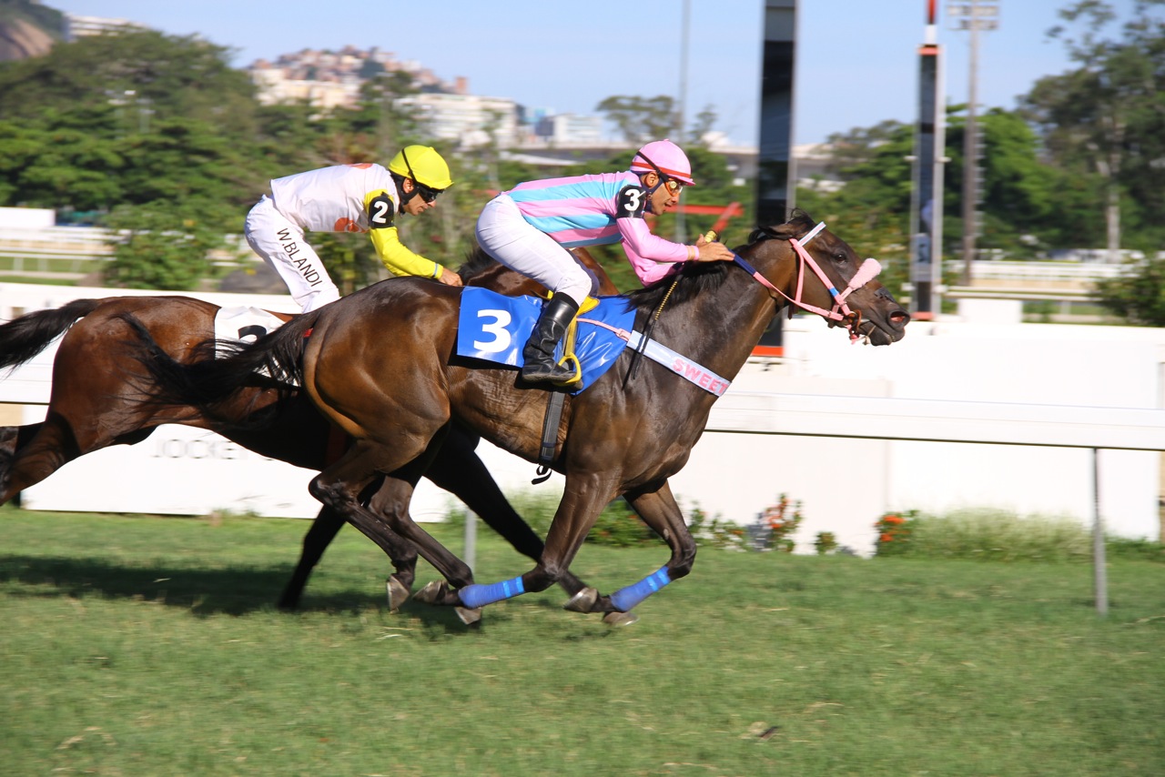 Energia Garoa vence o Clássico Escorial (L.) e garante vaga para o GP Latinoamericano (GI)