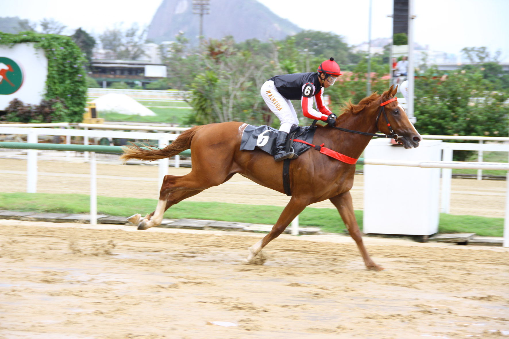 Hotaru vence com autoridade a Prova Especial Hernani de Azevedo Silva