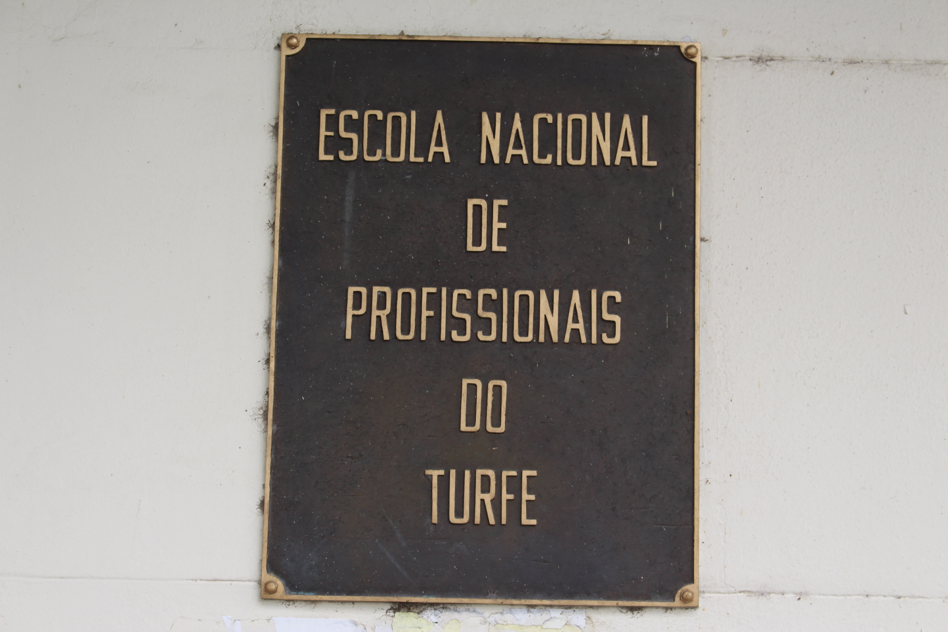 Seleção EPT: o dia de quem sonha em se tornar um jóquei profissional
