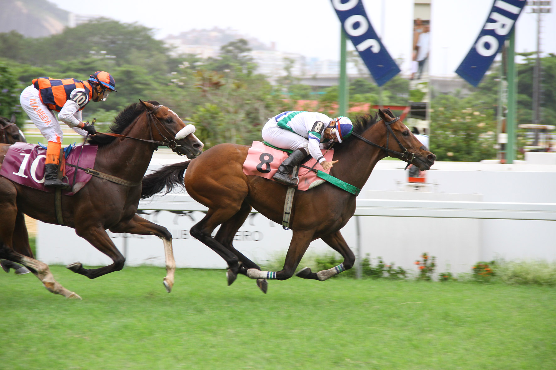 Silent But Fast vence com autoridade a Prova Especial Falcon Jet