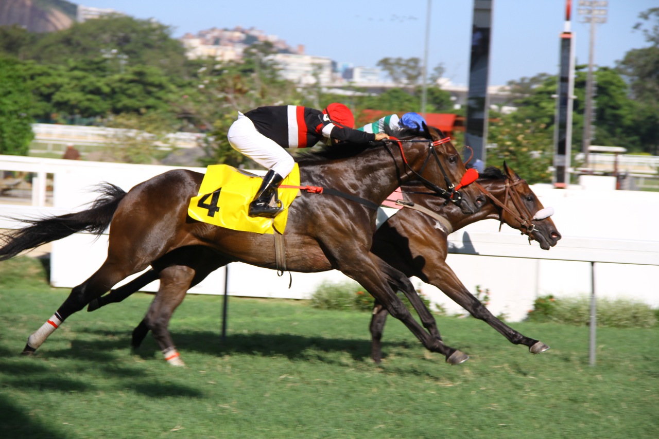 Nova geração de potros e potrancas movimentaram o Hipódromo da Gávea neste final de semana