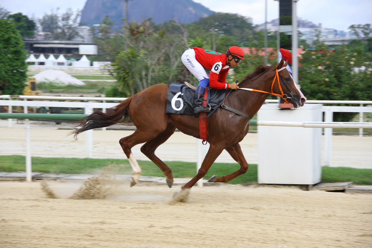 Líder das estatísticas, L. Henrique vence três e se destaca nas carreiras desta quinta-feira