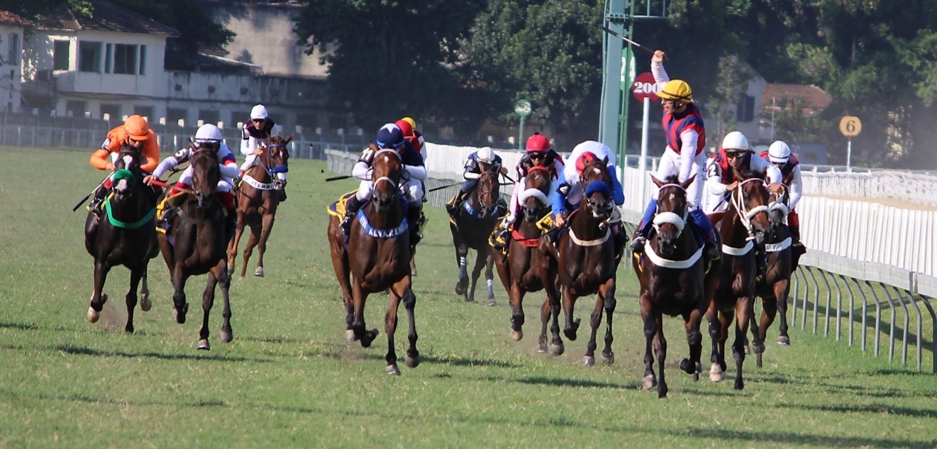 Clássicos e prova especial agitam o final de semana no Hipódromo da Gávea