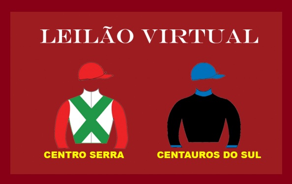 Haras Centro Serra e Centauros do Sul: Leilão nesta quinta-feira (25)