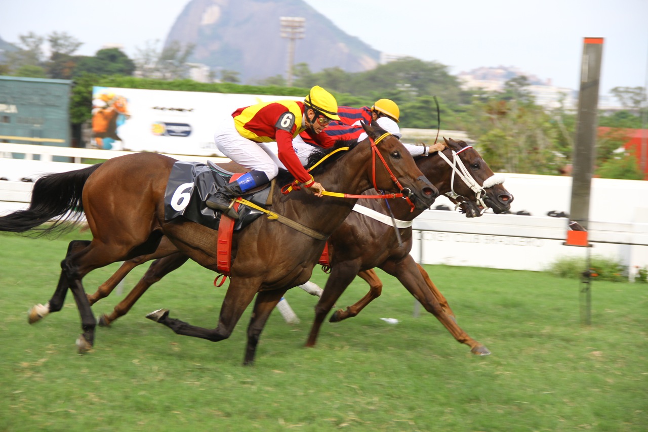Com final eletrizante, Daqui e Dali vence a Prova Especial Hypanis