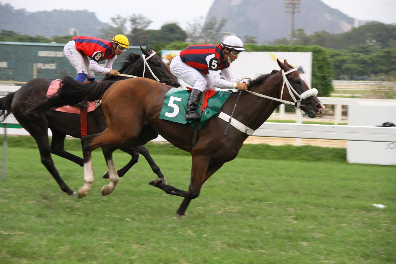 Dentelle vence o Grande Prêmio Euvaldo Lodi (G3); Gilvan Guimarães emociona torcida