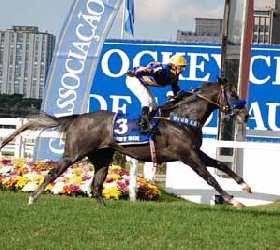 Especial GP Latinoamericano (GI): Givanildo Duarte, treinador do vencedor Hot Six