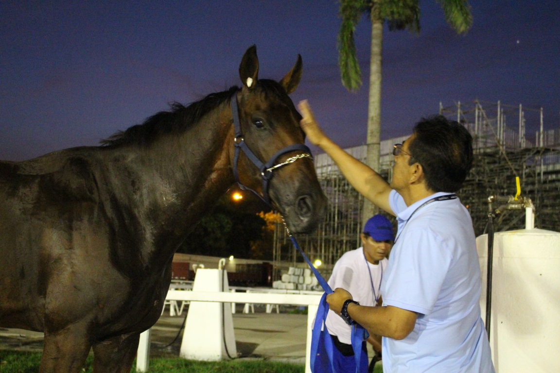 Cavalos estrangeiros preparados para o Longines GP Latinoamericano (GI); veja o trabalho matinal deles