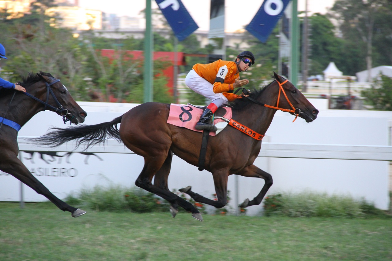 Fala, Piloto! F. Queiroz indica as suas melhores montarias deste final de semana