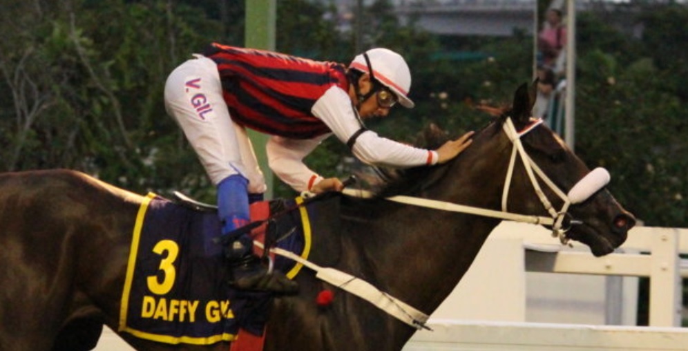 Daffy Girl deixa os machos para trás e conquista o Grande Prêmio Cruzeiro do Sul (GI), o Derby Carioca