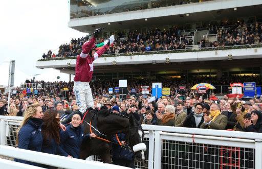 Festival de Cheltenham: tradição e fatos inusitados marcam evento de 2016