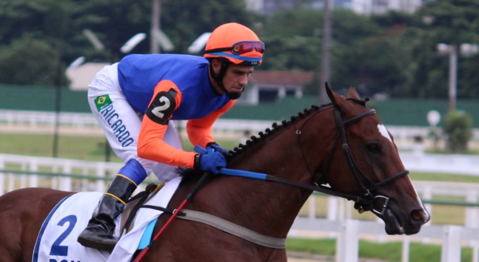 Ricardinho eterno: ídolo brasileiro leva o argentino Don Inc à vitória no Longines GP Latinoamericano (GI)