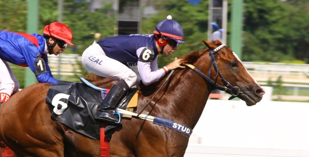 Clássico Jockey Club (L.) de São Paulo fica com Consul American
