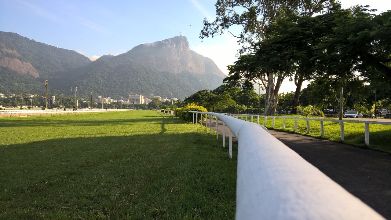Encontre o seu animal favorito e veja o dia e a hora de sua carreira no Hipódromo da Gávea