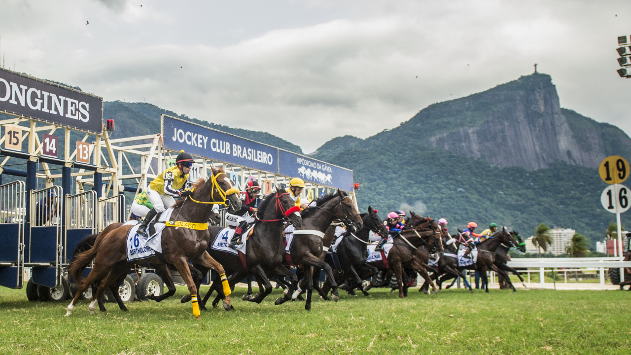 Galeria de fotos – Confira como foi o dia do Longines GP Latinoamericano (GI), no Hipódromo da Gávea.