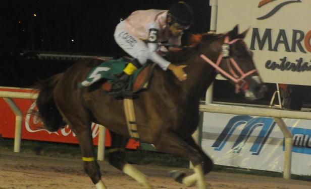 Fletcher volta a fazer história em Maroñas vencendo o Gran Premio General Artigas (GII)