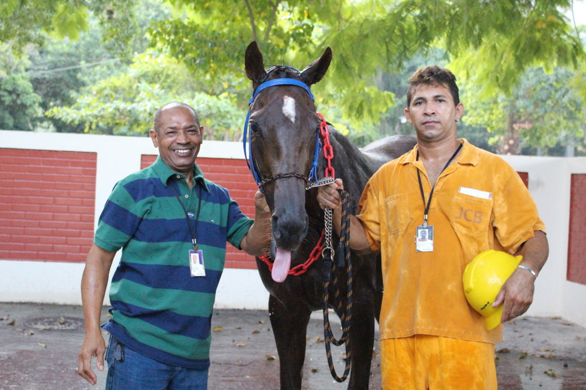 DESEJADA WIN demonstra valentia e leva mais uma para a conta – Vitória do amor ao PSI