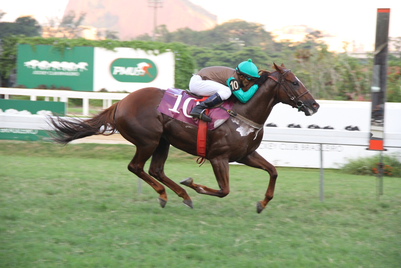 Momento de Alegria vence com autoridade a Prova Especial Kurrupako