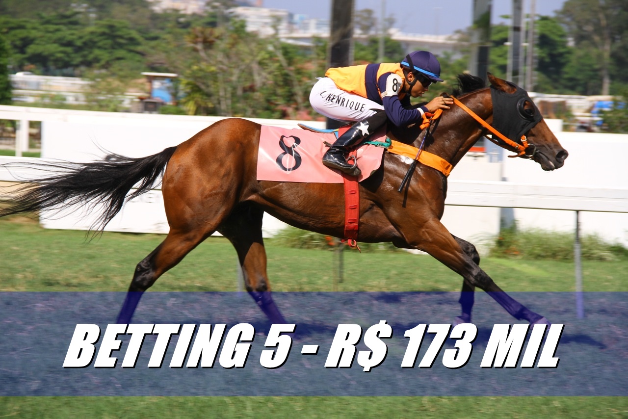 BETTING 5 Bonificação de R$ 173.000,00 neste SÁBADO (16); Aprenda aqui como fazer sua aposta nas acumuladas especiais!