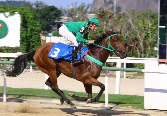 Etapa Vencida trava emocionante duelo e vence a Copa Leilões Jockey Club Brasileiro