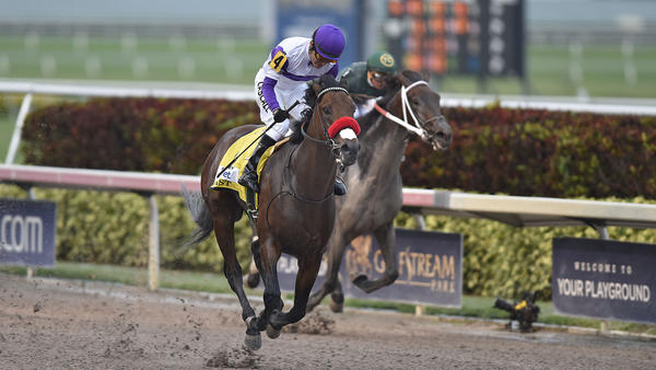 Nyquist vence o Florida Derby e leva a melhor no duelo dos invictos