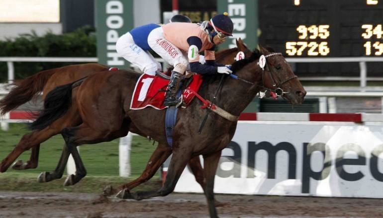 A. Domingos dá show na Argentina e vence duas provas de Grupo 1 no Hipódromo de Palermo