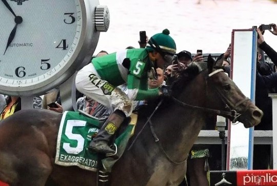 Exaggerator atropela o favorito Nyquist e leva o Preakness Stakes (GI)