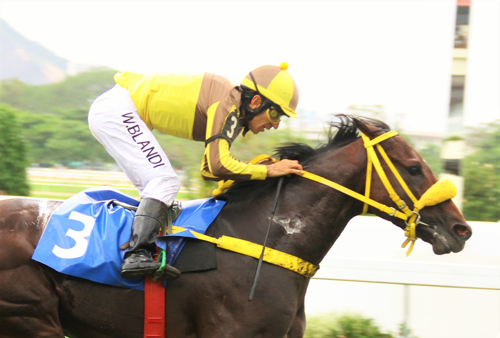 No páreo de melhor índice técnico do dia, Kabulaw vence o Prêmio Point Taken
