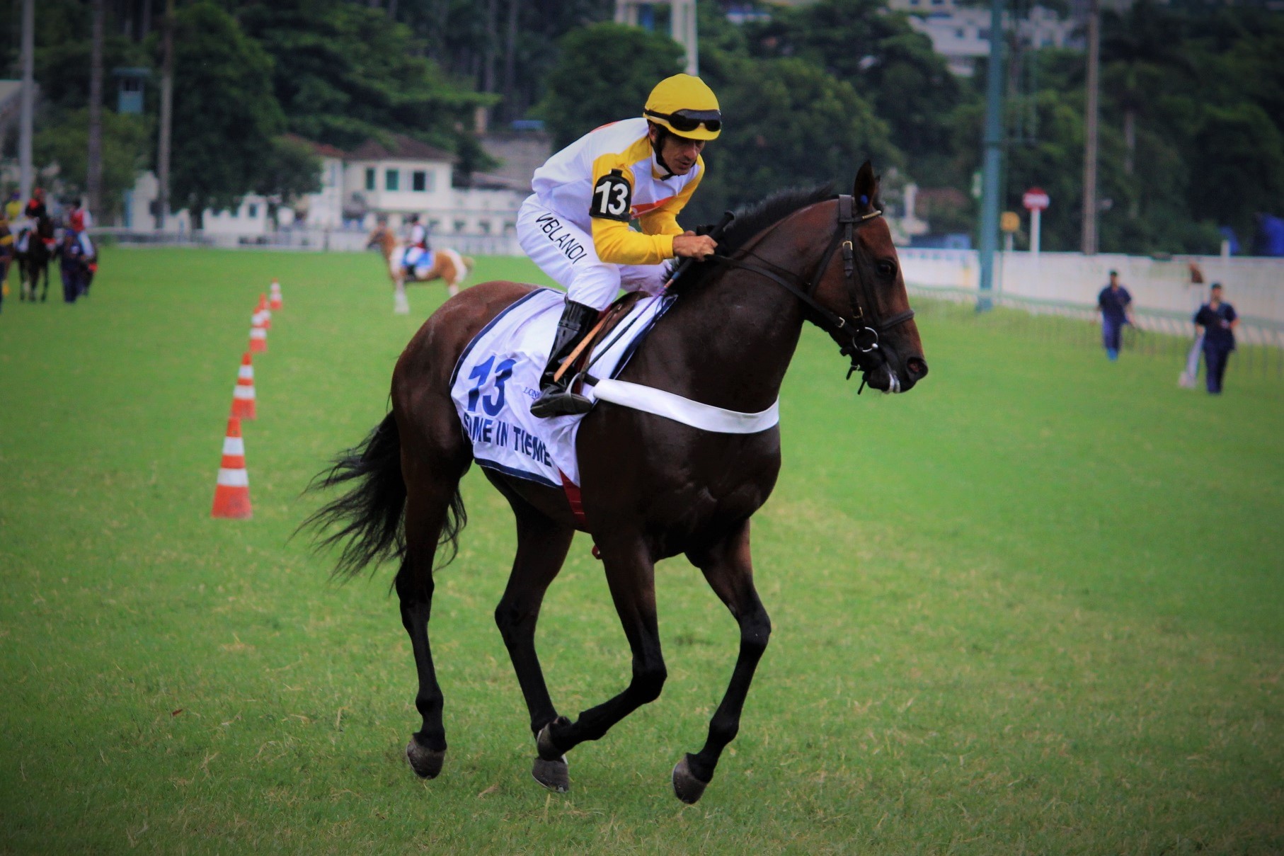 GP Latinoamericano e sua história – Some In Tieme – 2016 – Hipodromo da Gávea – Brasil