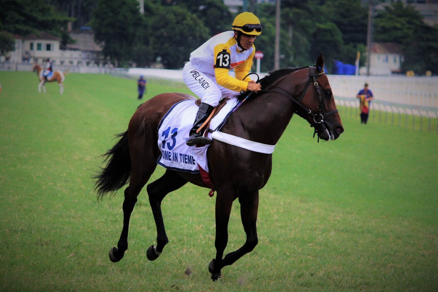 Campeão do Longines GP Latinoamericano (GI), Some In Tieme está fora do Grande Prêmio Brasil 2016