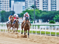No dia 14/05, o Páreo de Amadores do Jockey está de volta
