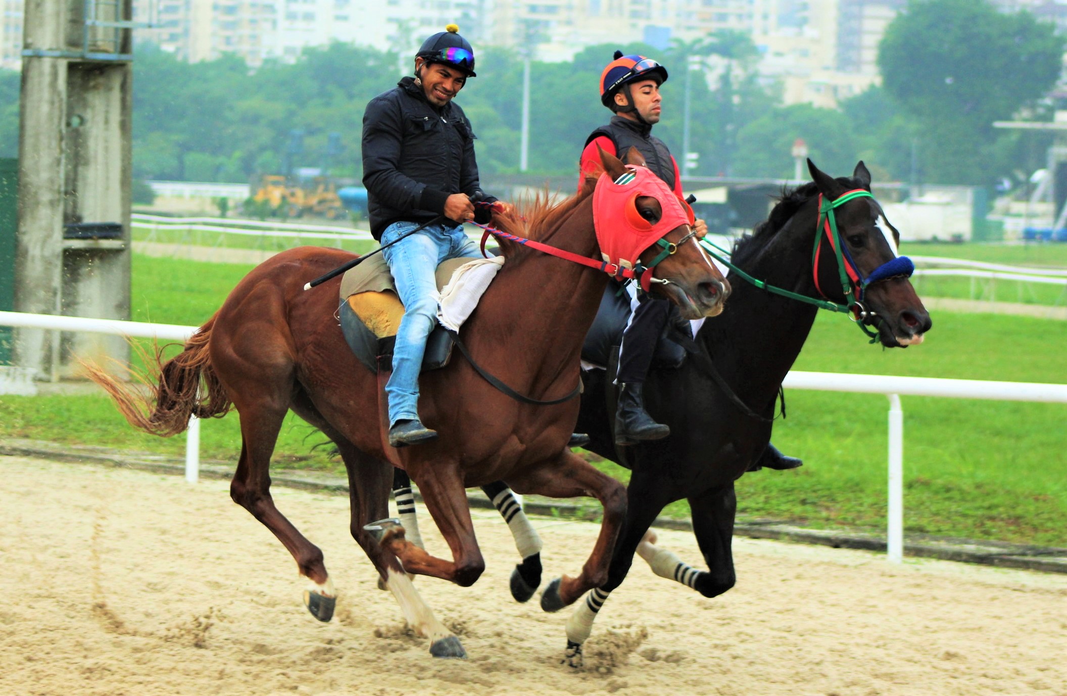 Treinadores indicam as suas melhores inscrições para as carreiras do final de semana na Gávea