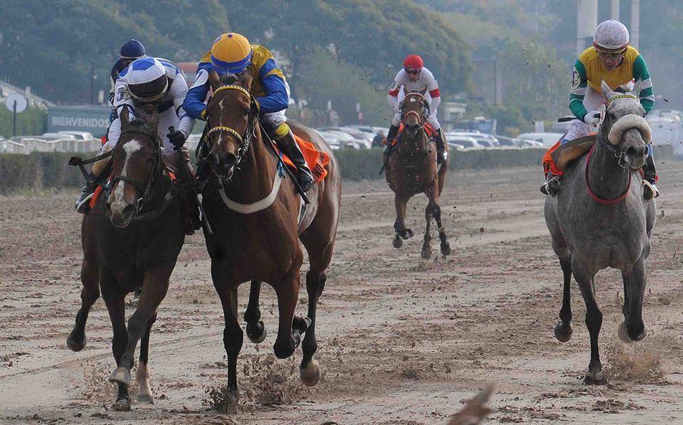 Carreras de las Estrellas: A. Domingos vence prova de Grupo 1 durante evento em Palermo