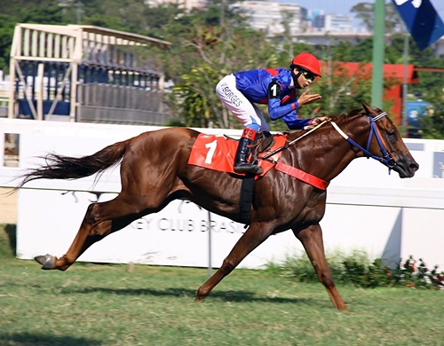 GP Major Suckow (G1): Melhores velocistas do país têm encontro marcado, sábado, na Gávea