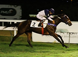 GP Roberto e Nelson Grimaldi Seabra (G1): Equilíbrio é a tônica!