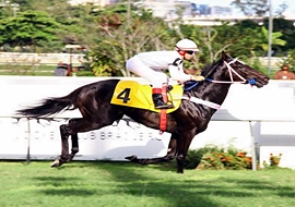 GP Jockey Club Brasileiro (G1): Liderança da Geração 2013 em jogo